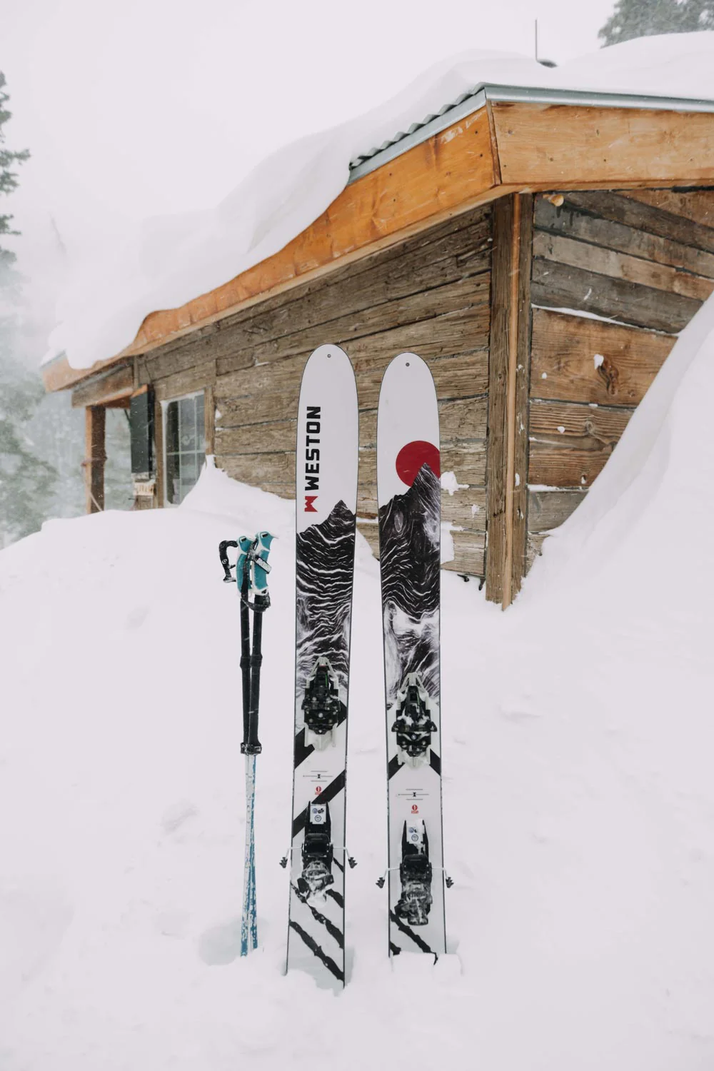 Grizzly Carbon 118 - Image 3