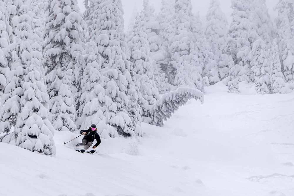 Grizzly 118 - Image 4